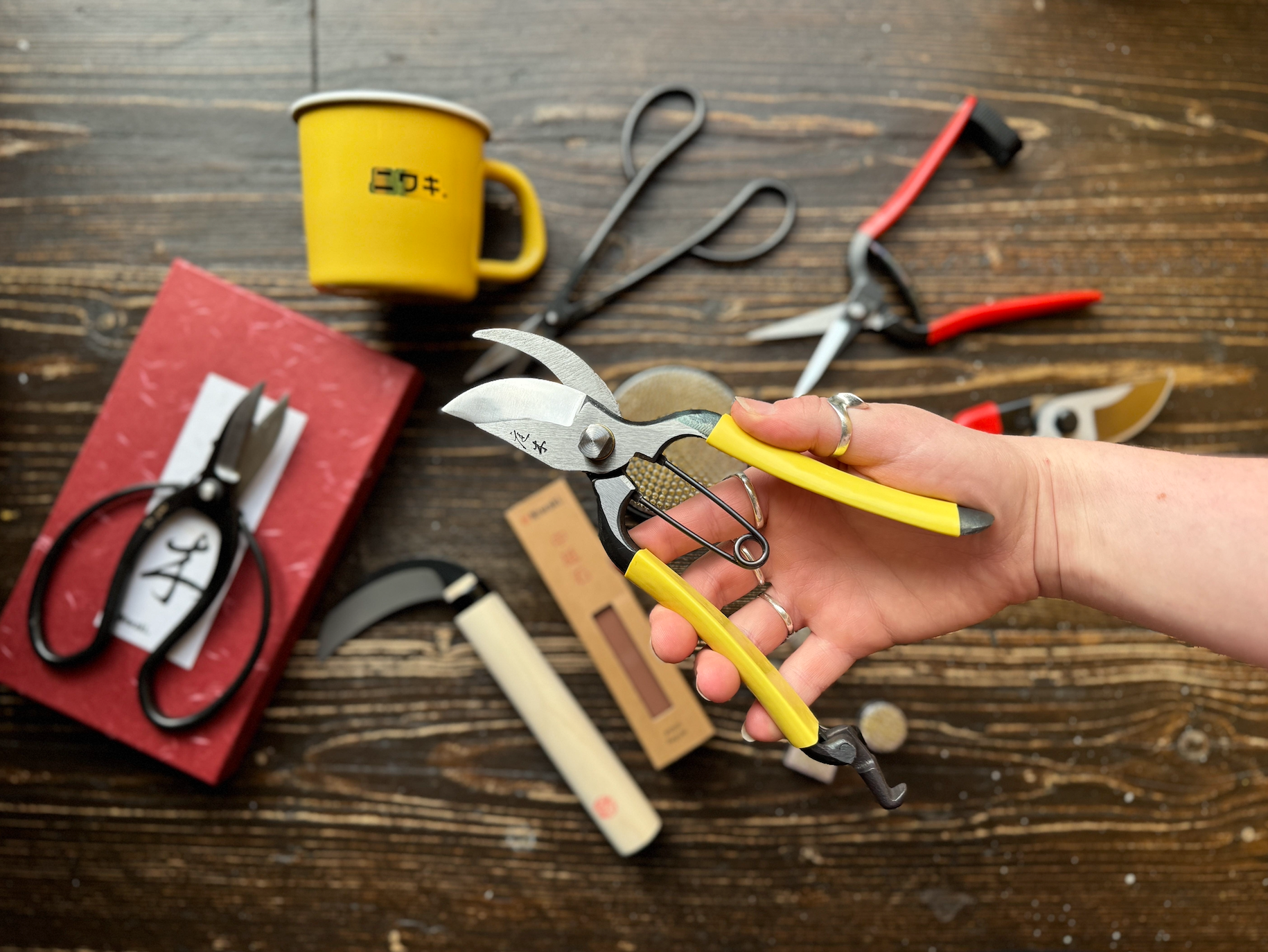 Why We Love Niwaki Gardening Tools
