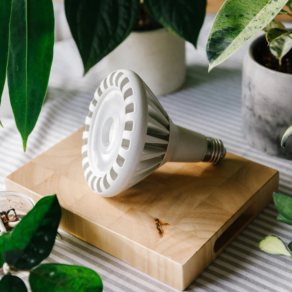 Pianta 30 Grow Light LED Bulb (E27 – White)