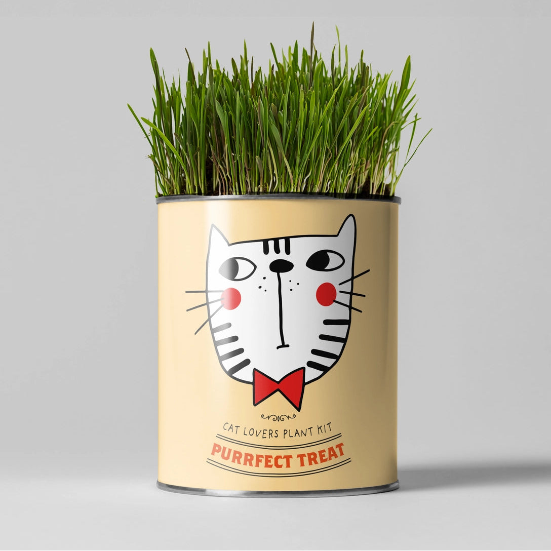 Cylindrical container with cat grass and a cat face design on a gray background