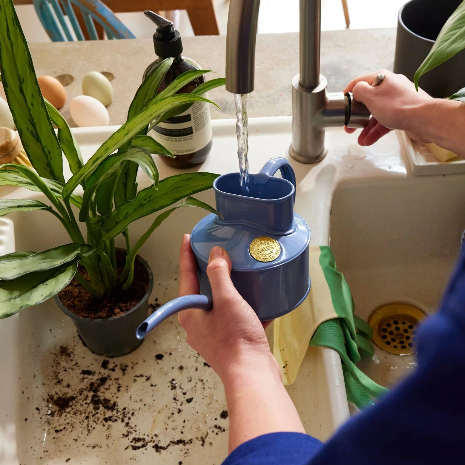 Haws | The Fazeley Flow Bluebell Meadow - One Pint