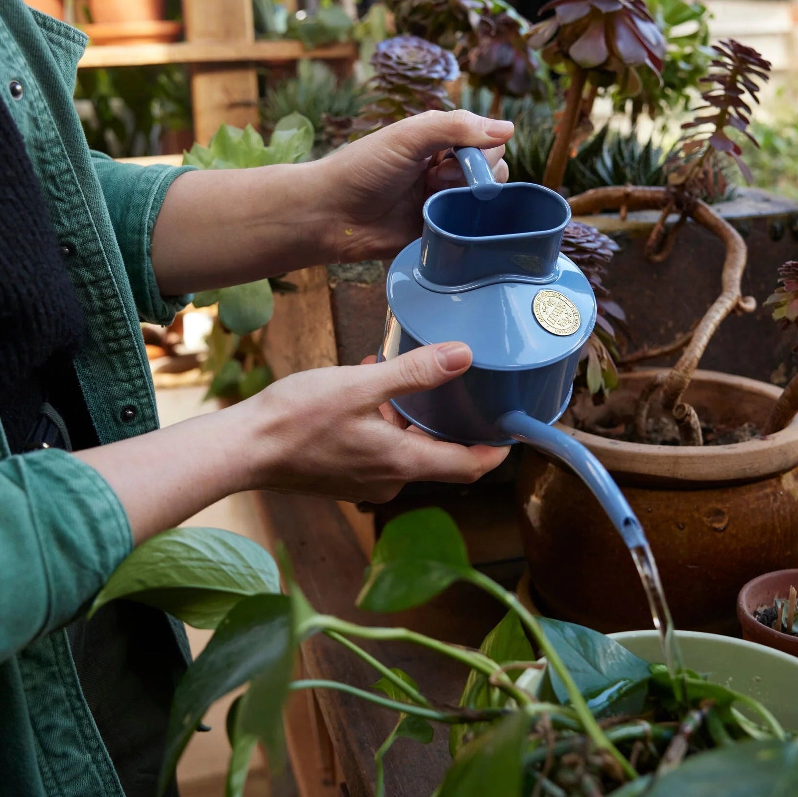 Haws | The Fazeley Flow Bluebell Meadow - One Pint