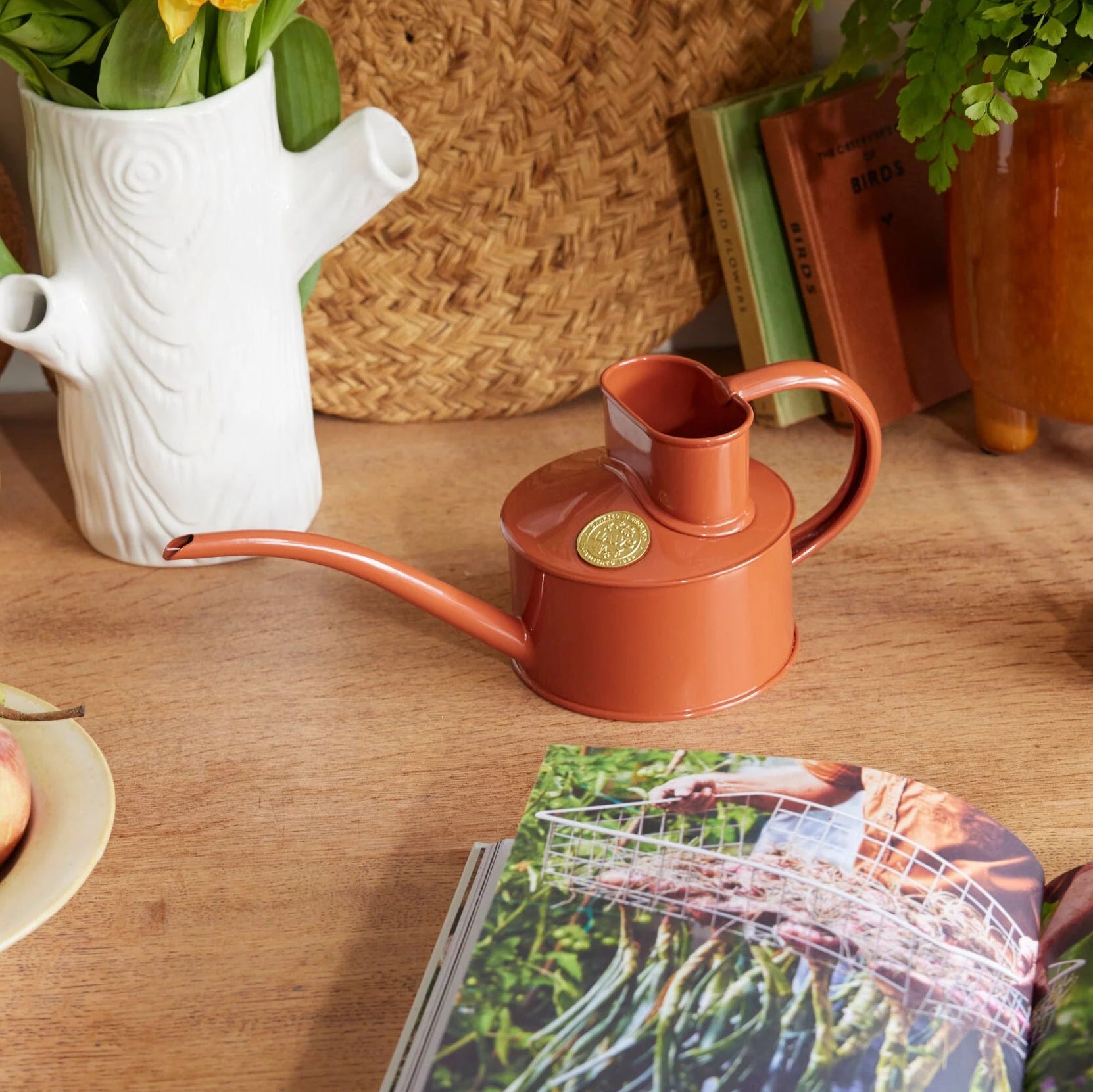 Haws | The Fazeley Flow Terracotta - One Pint