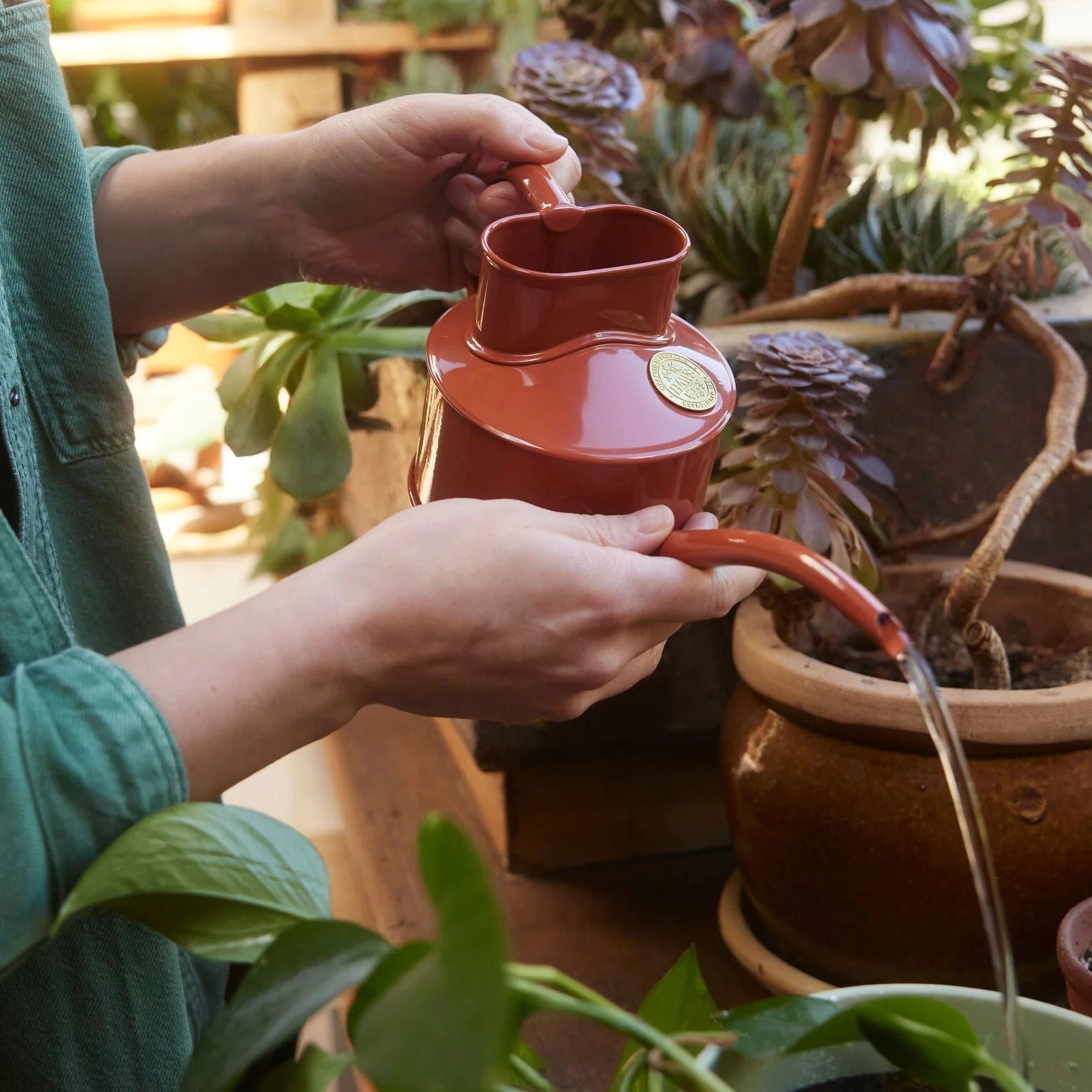 Haws | The Fazeley Flow Terracotta - One Pint