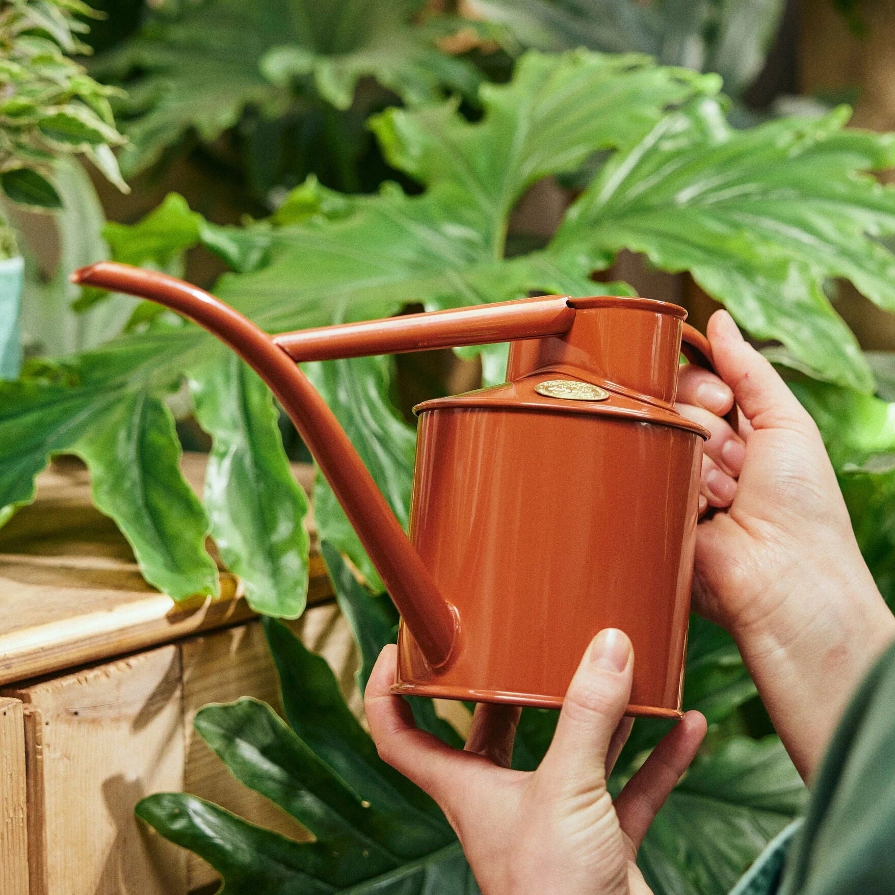 Haws | The Fazeley Flow Terracotta - Two Pint