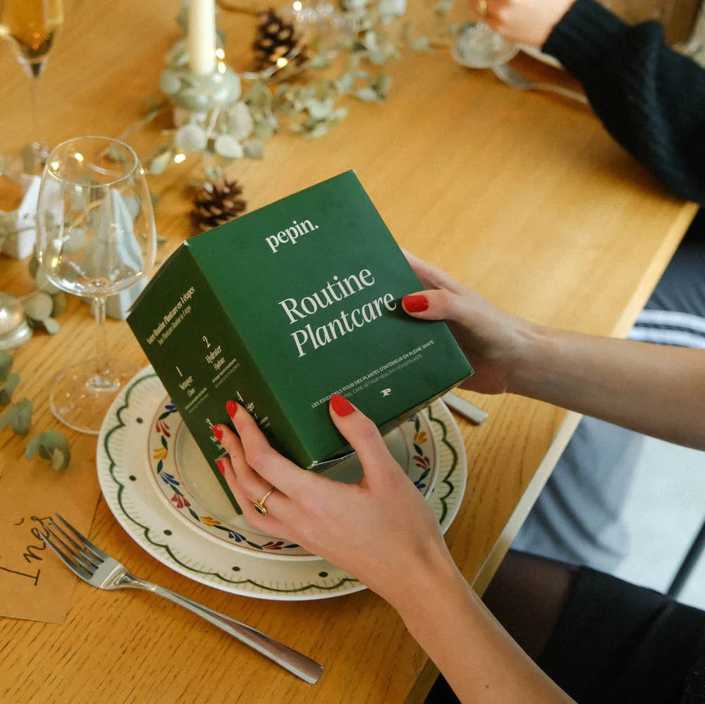 Pepin Plant Care Routine – Complete Indoor Plant Care Kit