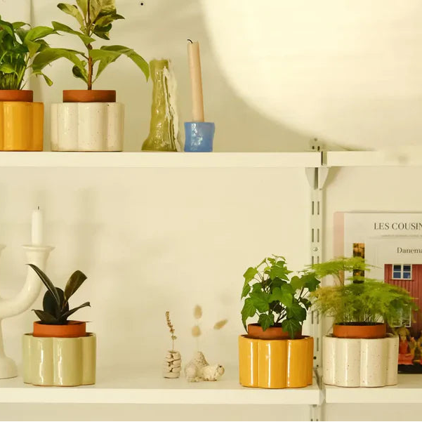 Shelves with various plants, decor items, and a painting on a white wall.