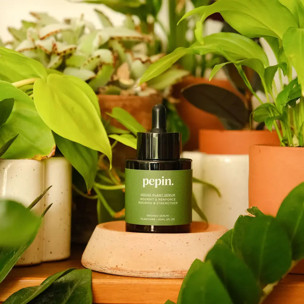 Pepin Indoor Plant Serum (60ml)