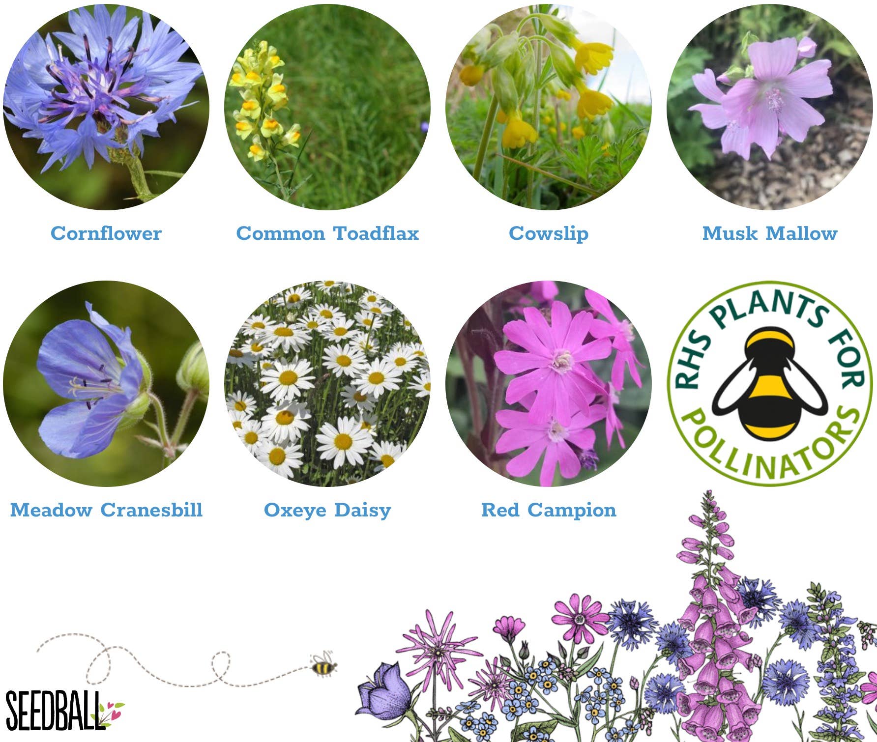 Happy Christmas Seed Boxes | Seedball