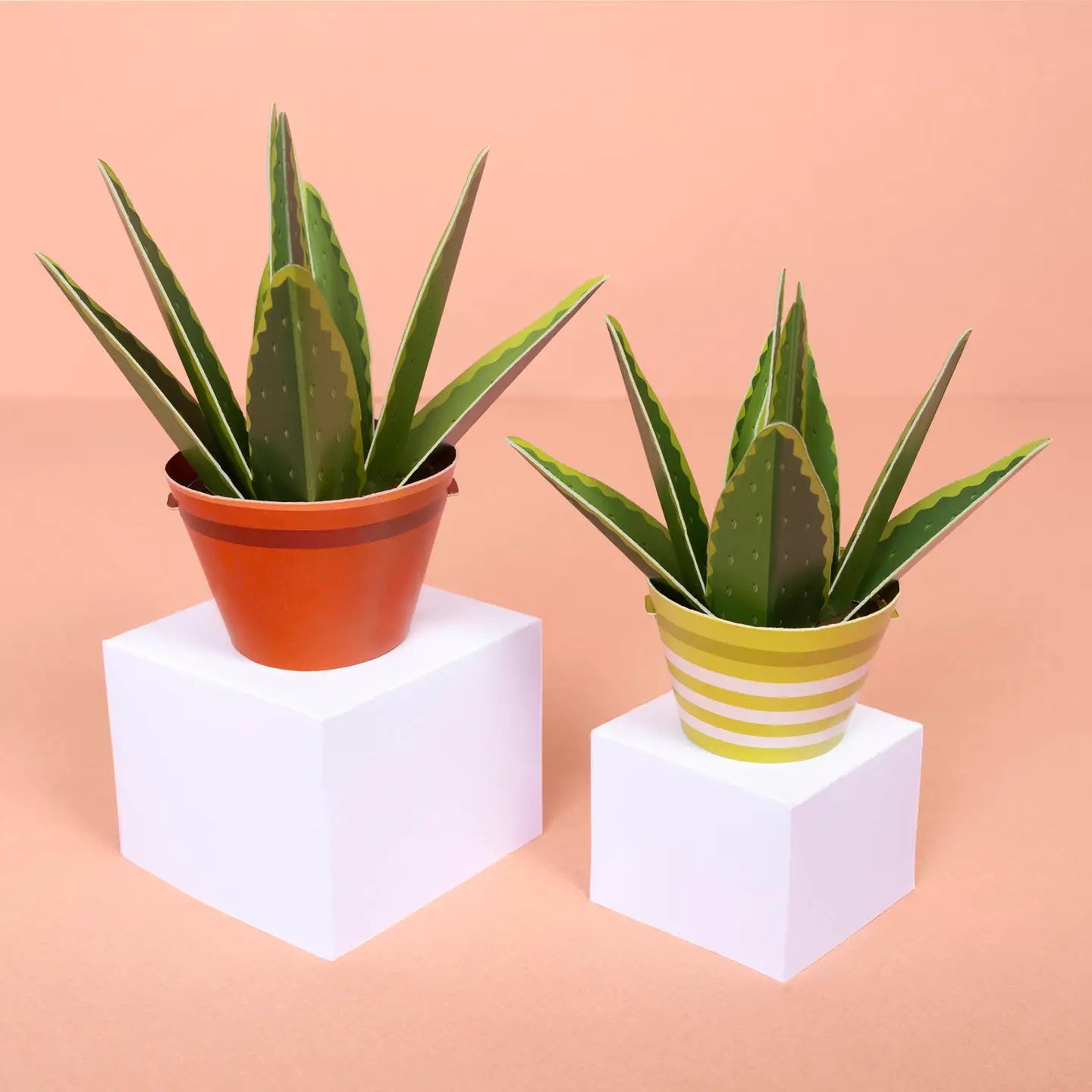 Make Your Own Healing Aloe Vera Paper Plant Kit