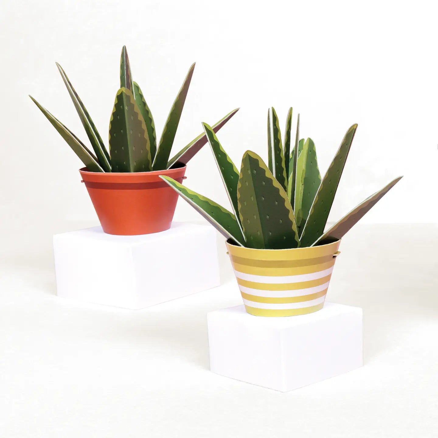 Make Your Own Healing Aloe Vera Paper Plant Kit