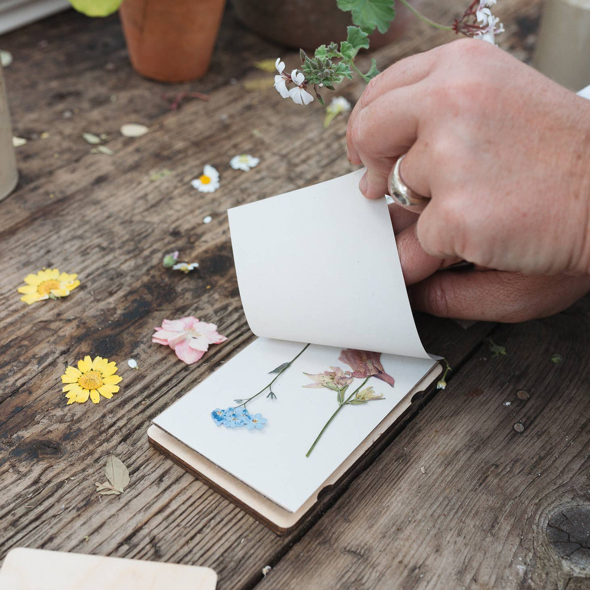 Pocket Flower Press – Vintage Buttercup | Studio Wald