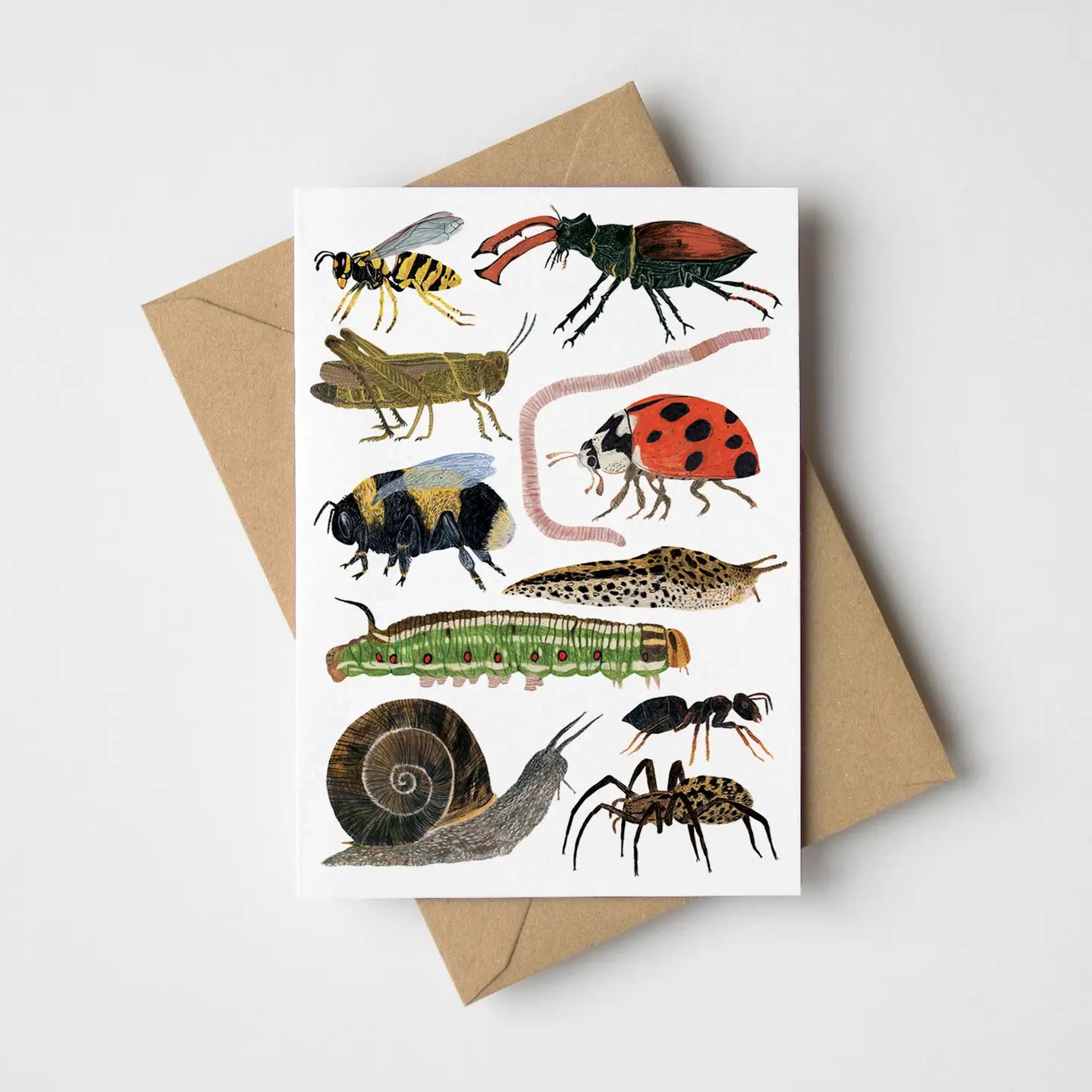 Greetings Cards | James Barker