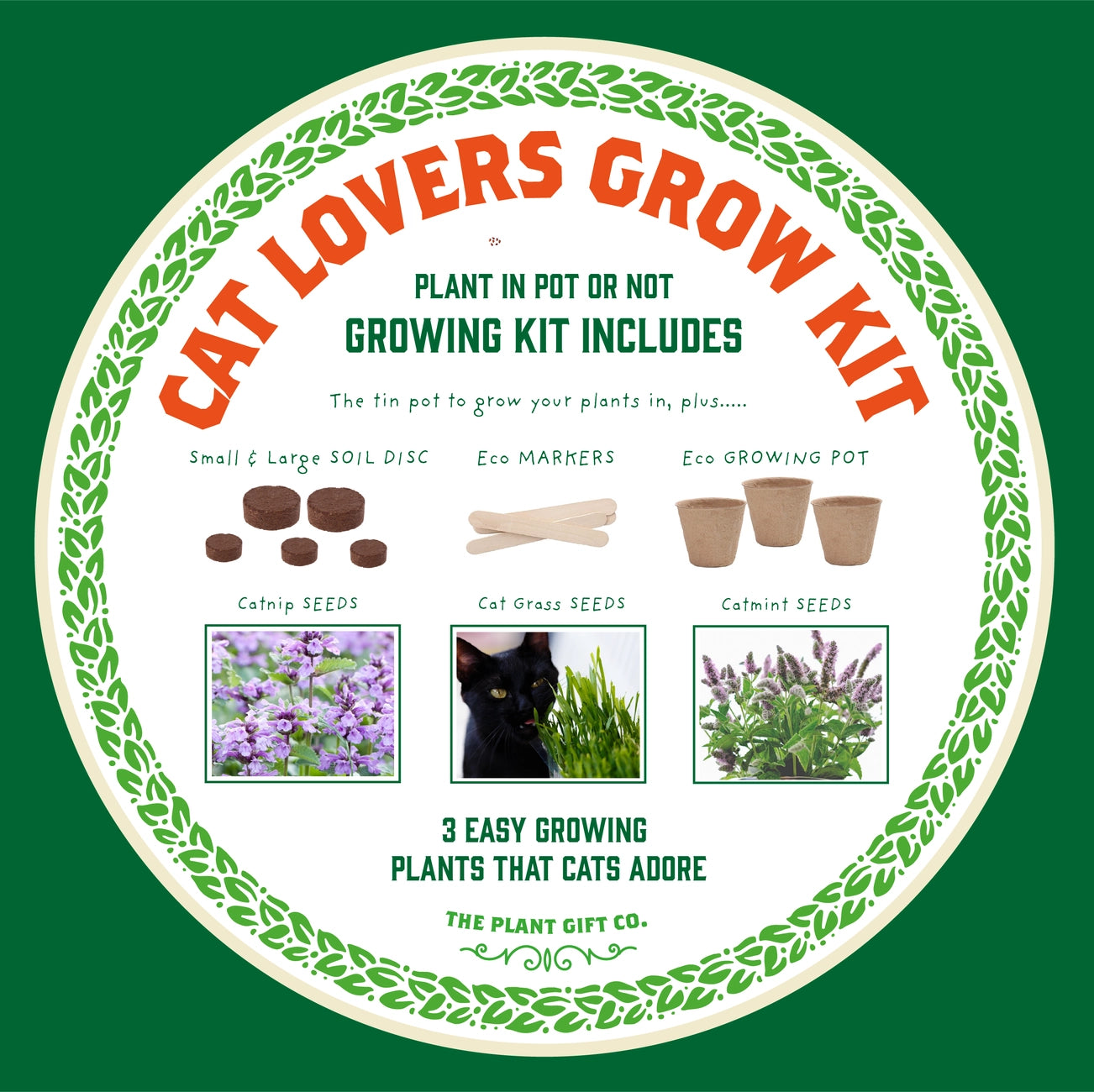 Purrfect Treat | Grow Your Own Cat Plants Kit