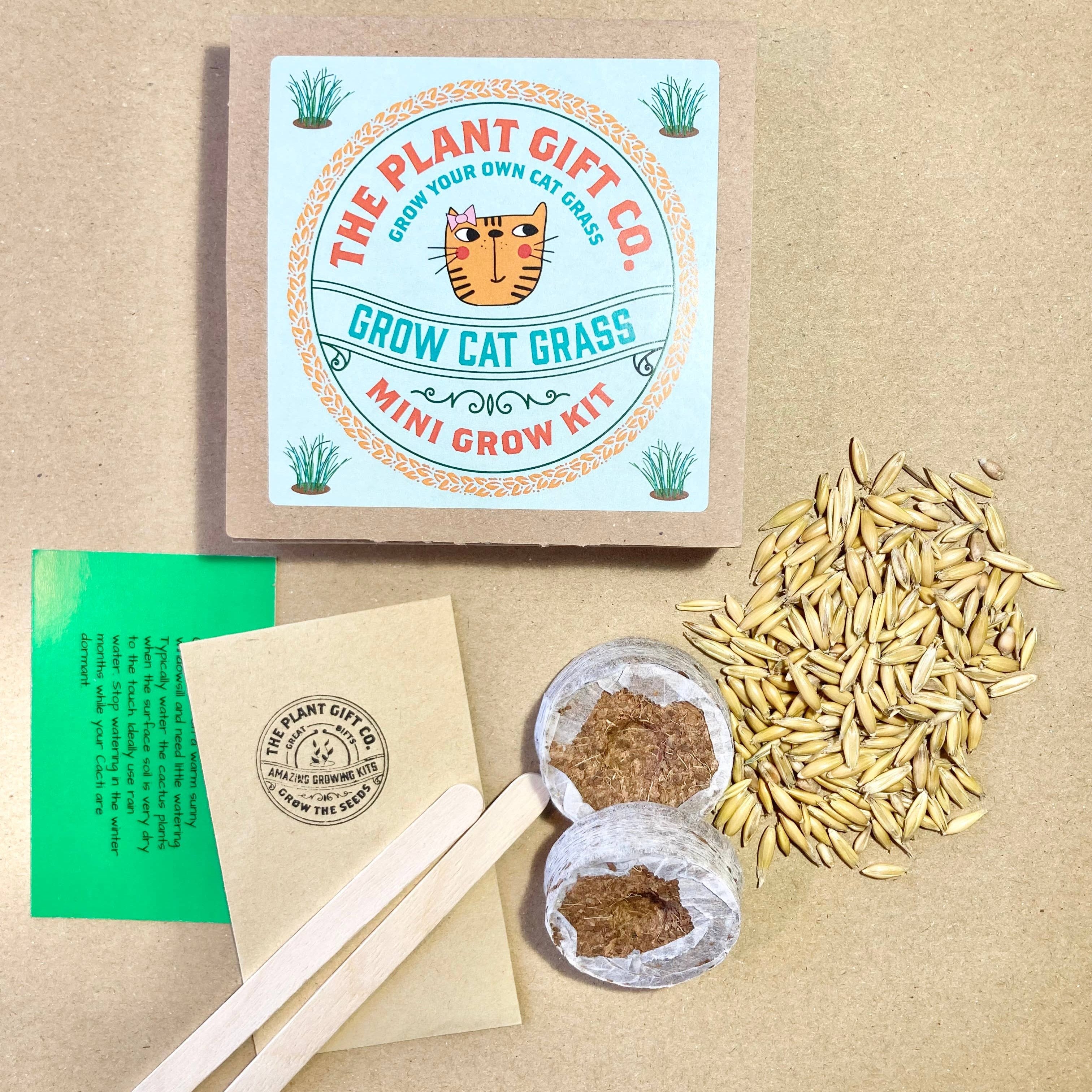 Mini Grow Kit – Easy Grow-From-Seed Gift | The Plant Gift Co.
