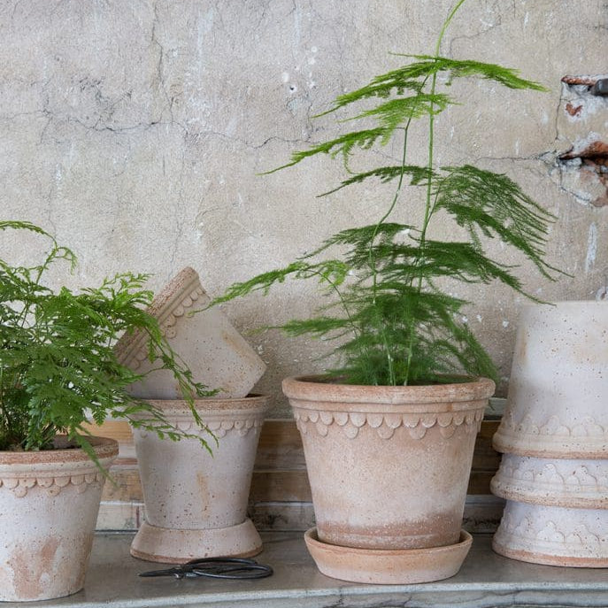 Bergs Potter Copenhagen Pot & Saucer Set - Rosa Terracotta