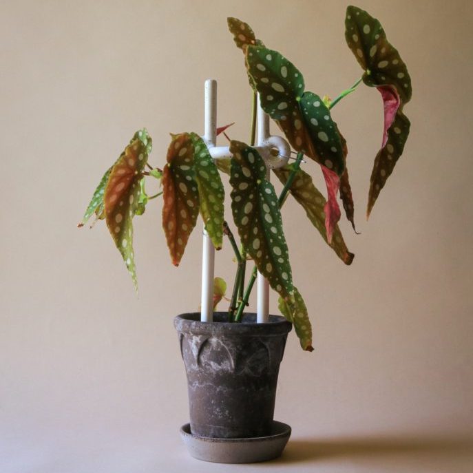 Bergs Potter Folk Plantstakes – Decorative Ceramic Plant Supports