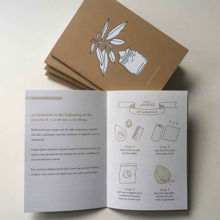DIY Growing Kit - Grow Your Own Avocado Plant