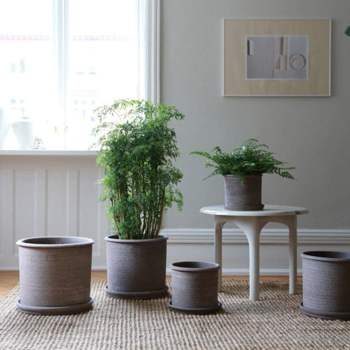 Bergs Potter Modena Pot & Saucer Set | Raw Rosa & Raw Grey