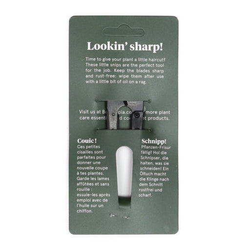 Card with plant care tools and text on a white background