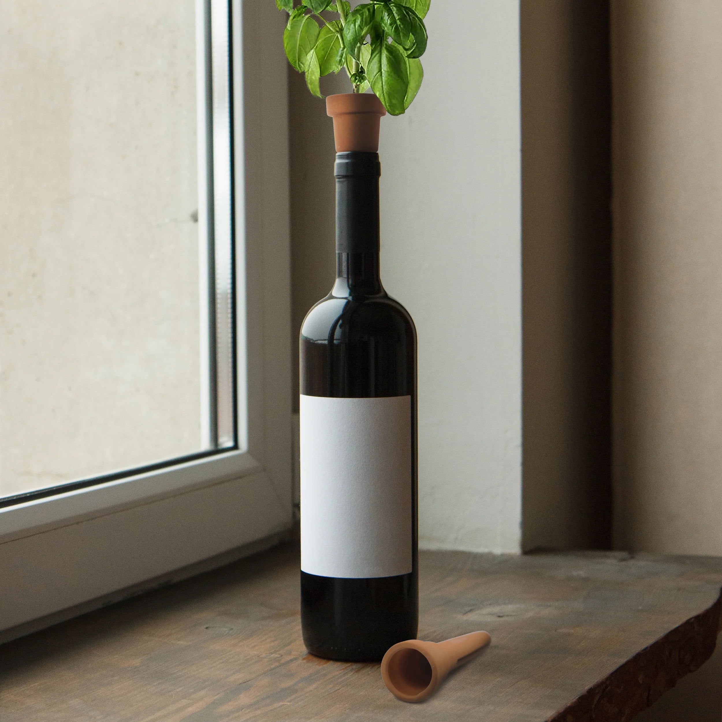 Wine bottle with a plant on top and a small terracotta cone next to it on a wooden surface.