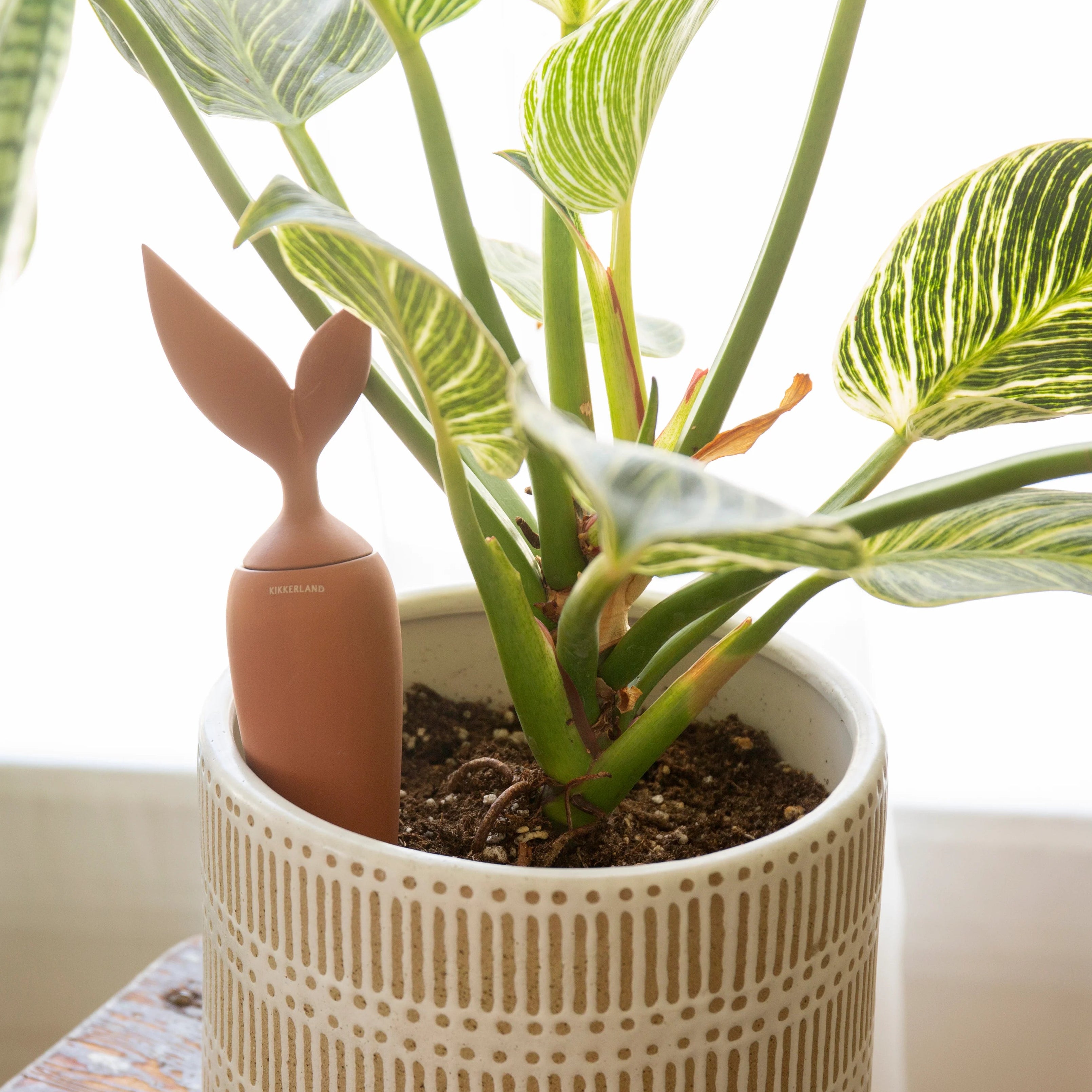 Terracotta Watering Stake