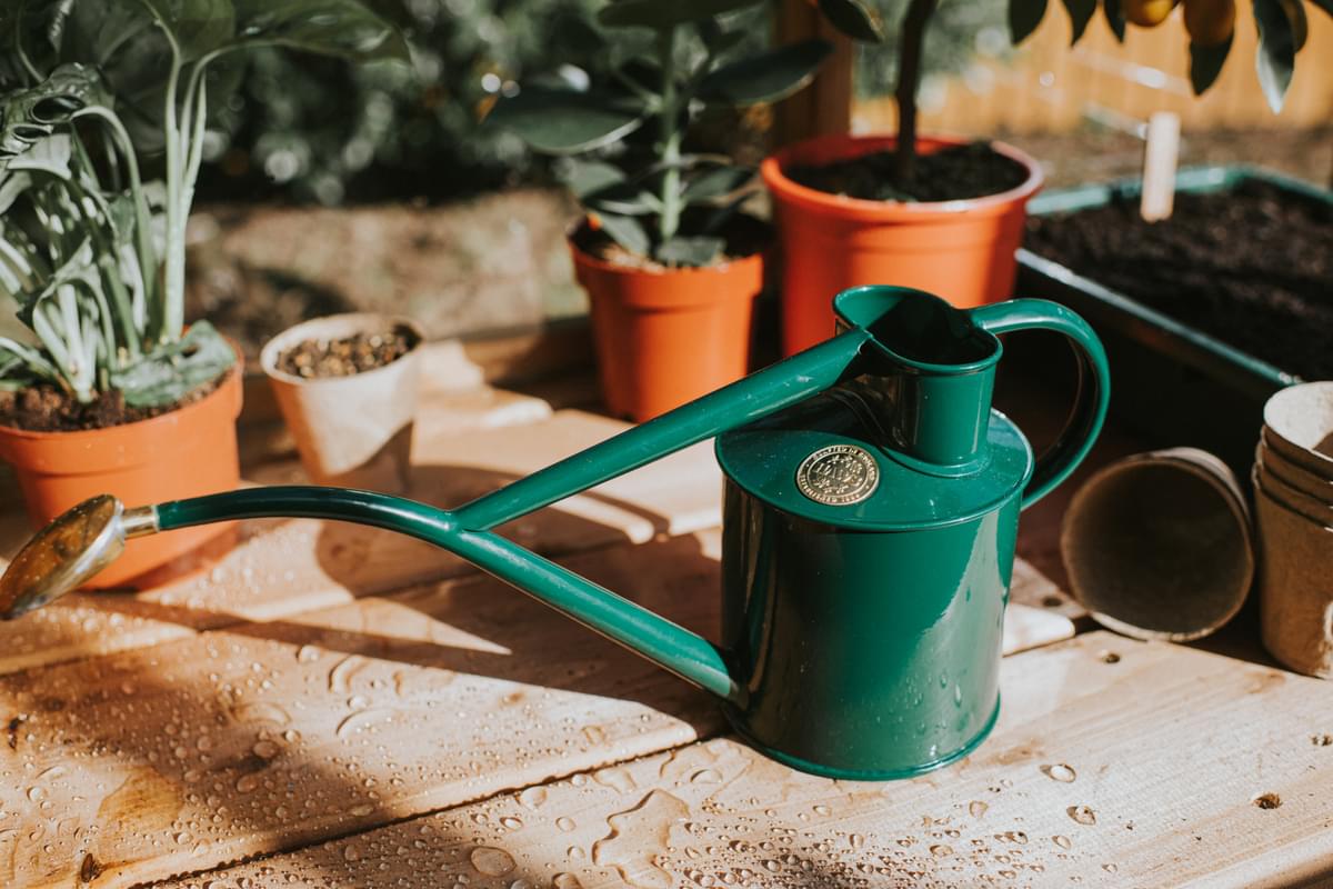 Haws Rowley Ripple green watering can on a wooden surface with potted plants in the background