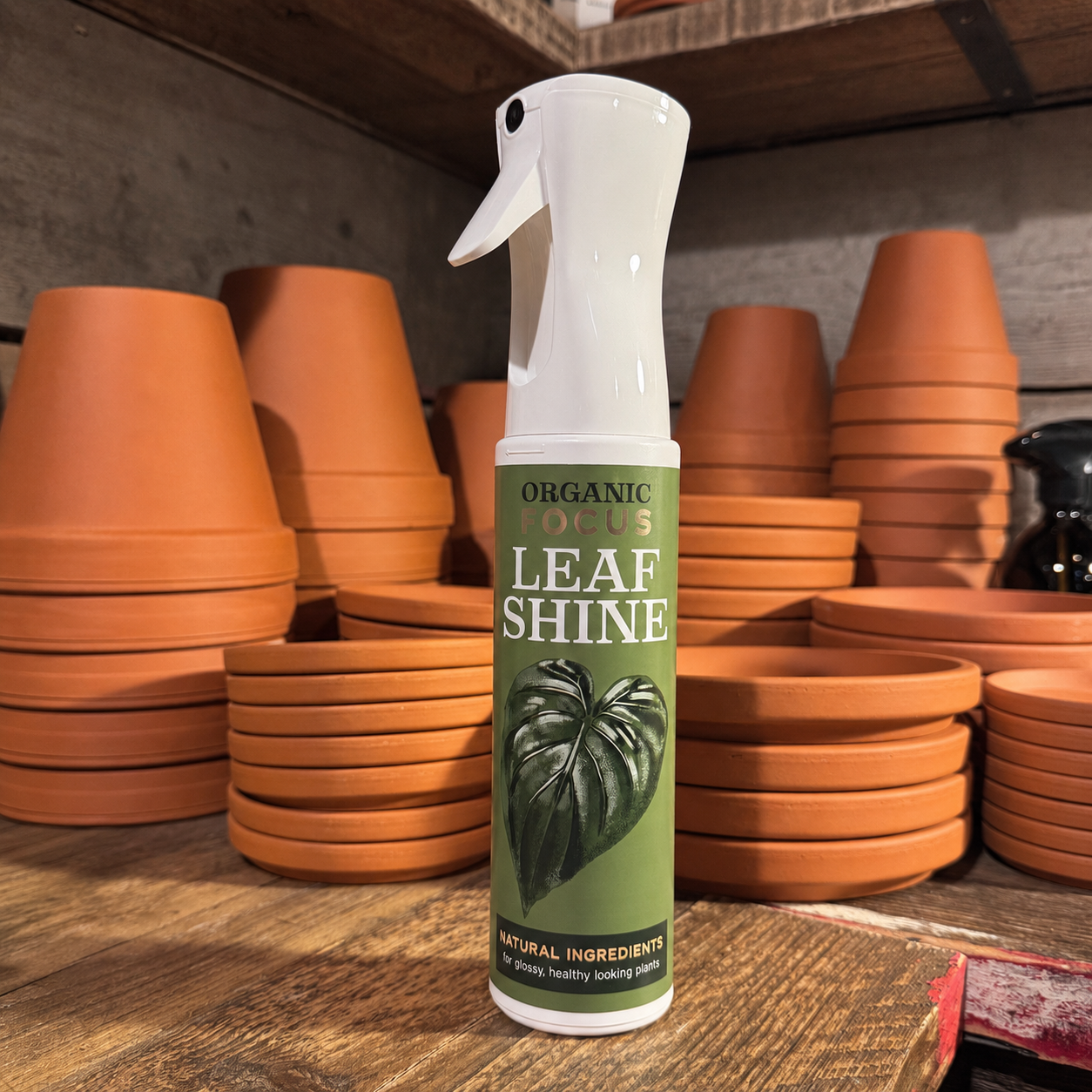 Organic Focus Leaf Shine | Natural Leaf Spray for Houseplants
