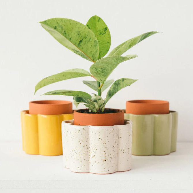 Pepin Paulita Self-Watering Pot