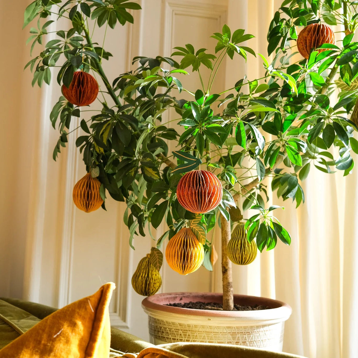 A potted Schefflera plant with green leaves and hanging striped orange and yellow decorative fruits, placed indoors in front of a cream paneled door and curtains, with a gold velvet pillow in the foreground.