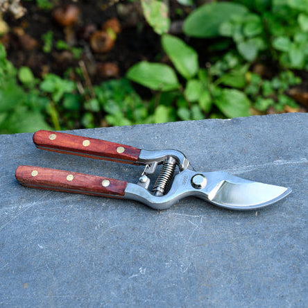 Garden shears with wooden handles on a stone surface with greenery in the background