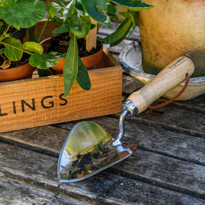 RHS Stainless Planting Trowel
