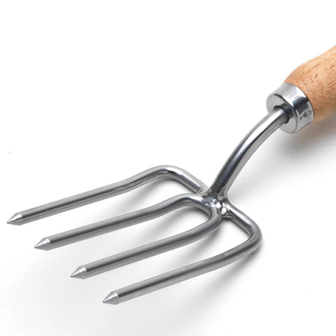 Round-Tined Fork | RHS Endorsed