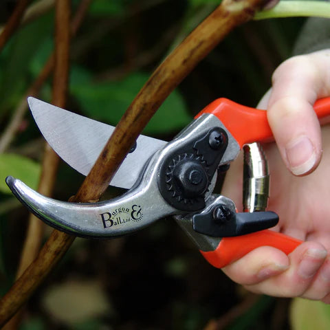 Bypass Secateurs by Burgon & Ball