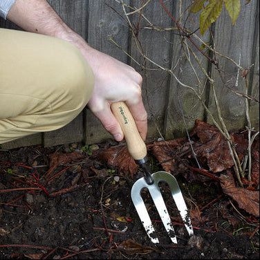 Hand Fork | RHS Endorsed