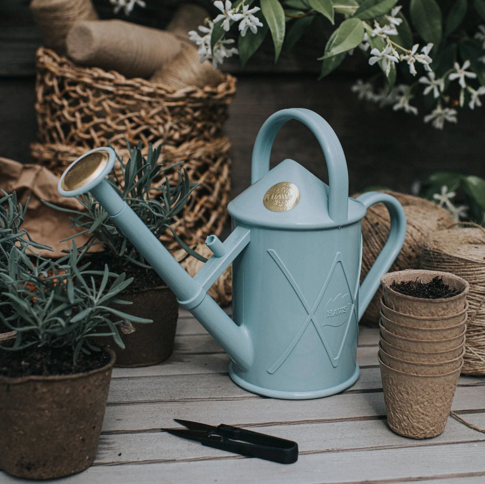 Light blue Haws Bartley Burbler watering can on a wooden surface with plants and twine in the background