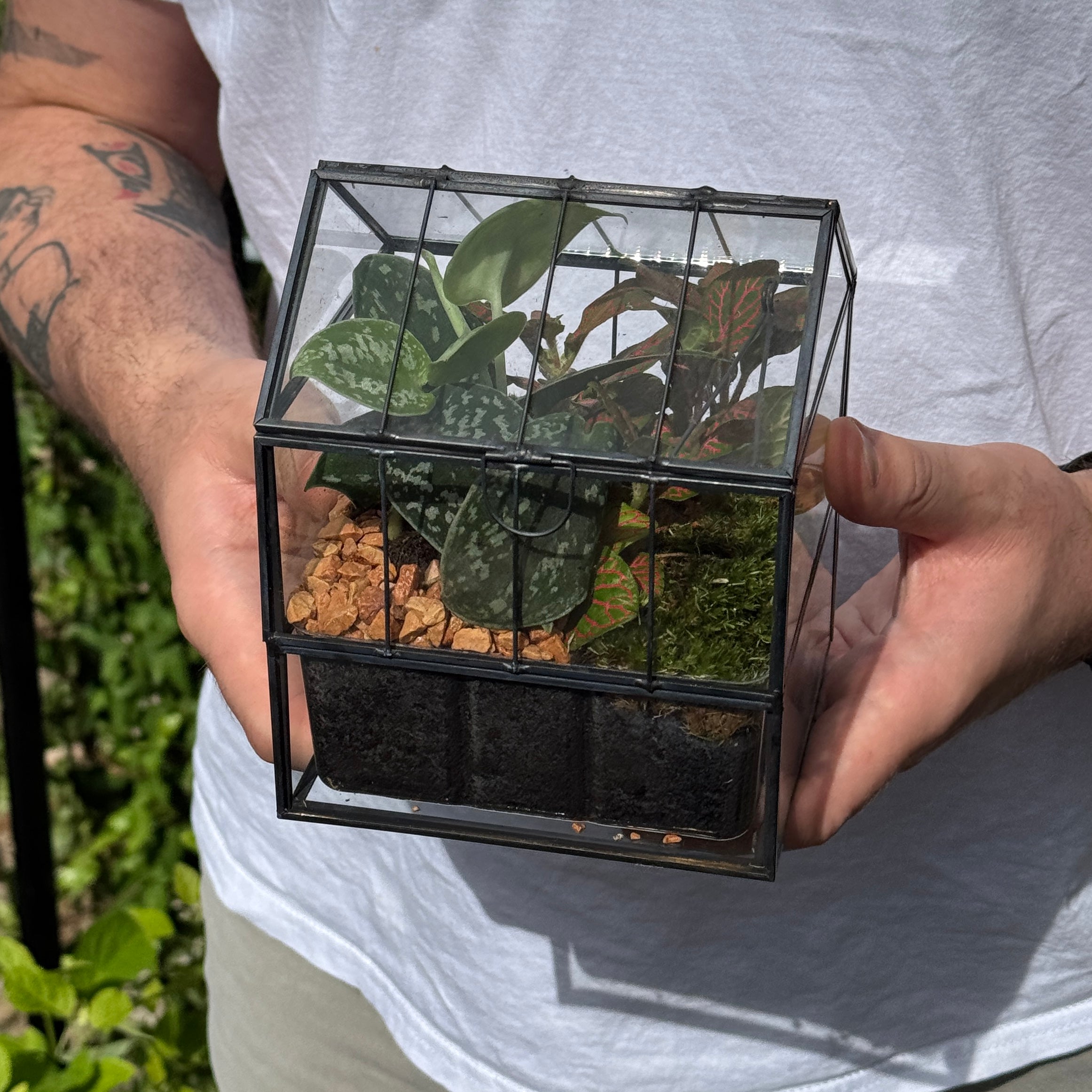 Glasshouse Terrarium