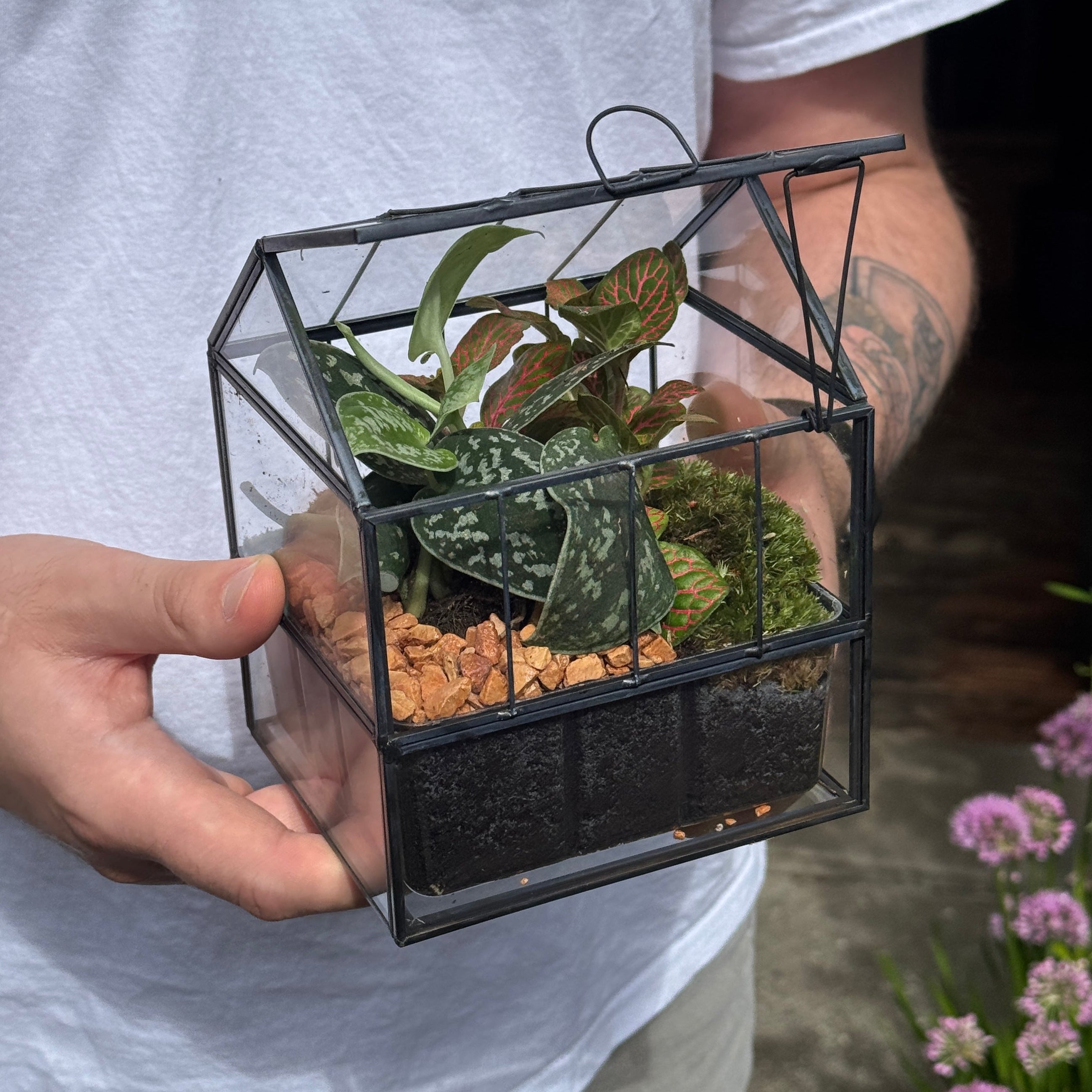 Glasshouse Terrarium
