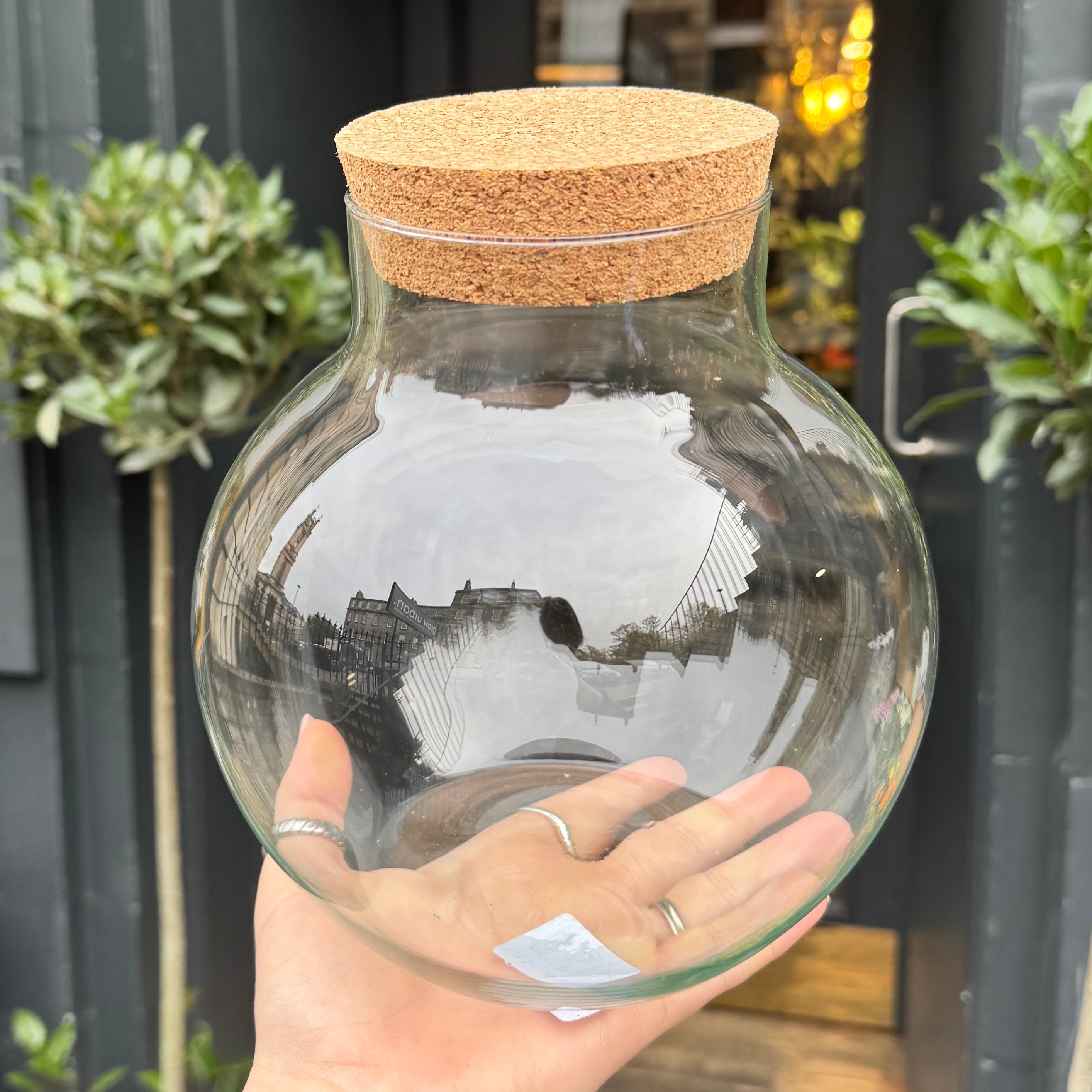 Sphere Terrarium Vessel