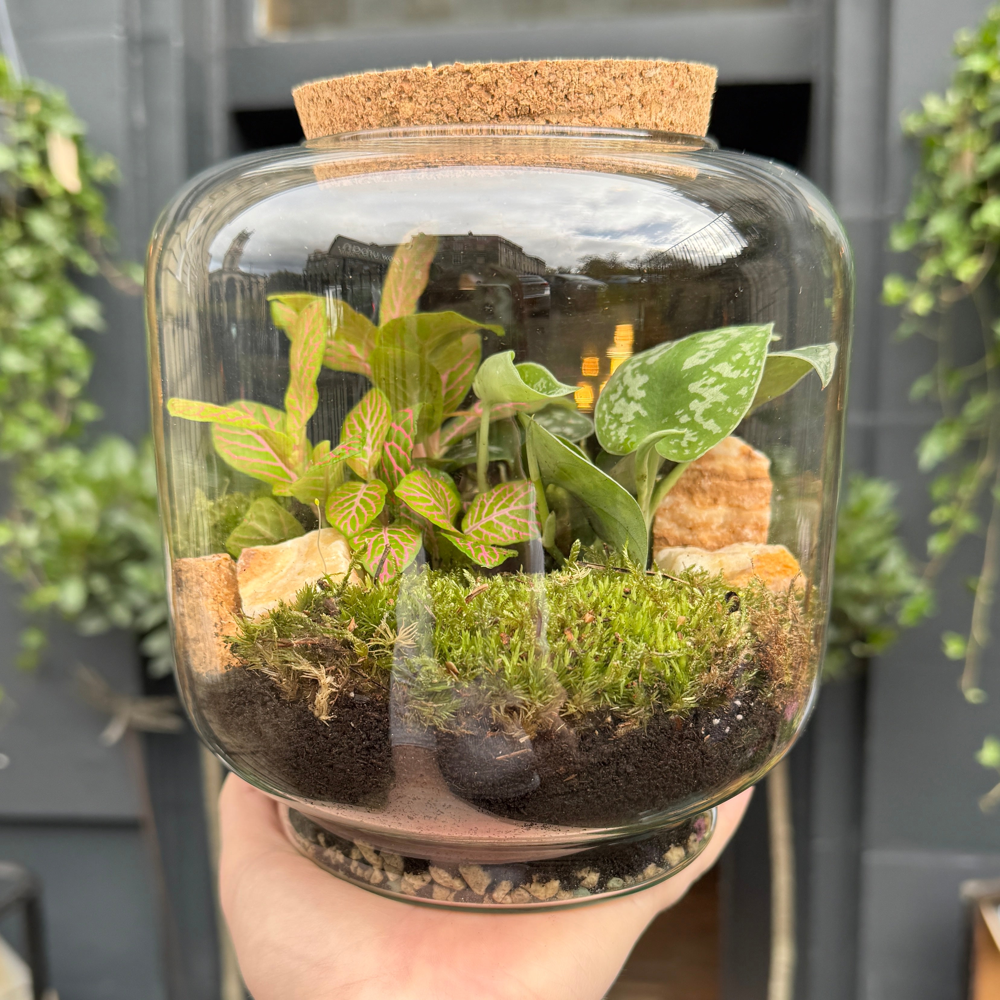 Capsule Terrarium