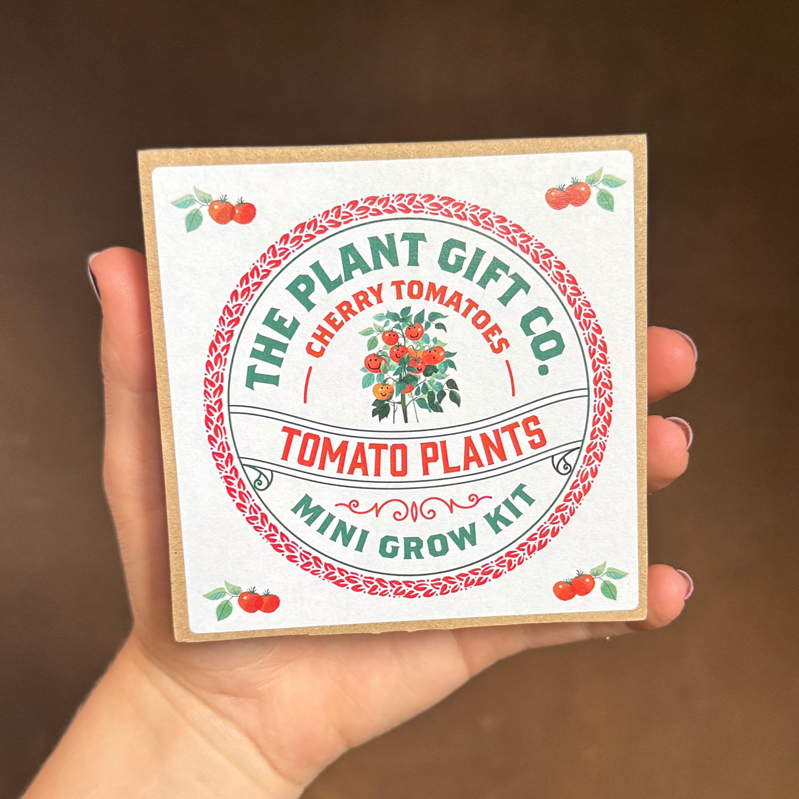 Mini Grow Kit – Easy Grow-From-Seed Gift | The Plant Gift Co.