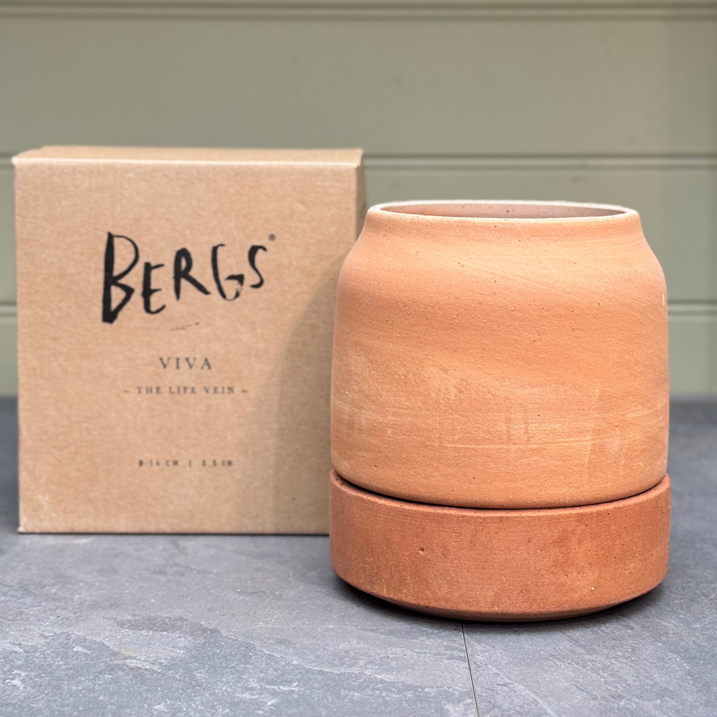 Bergs Potter Viva Self-Watering Pot