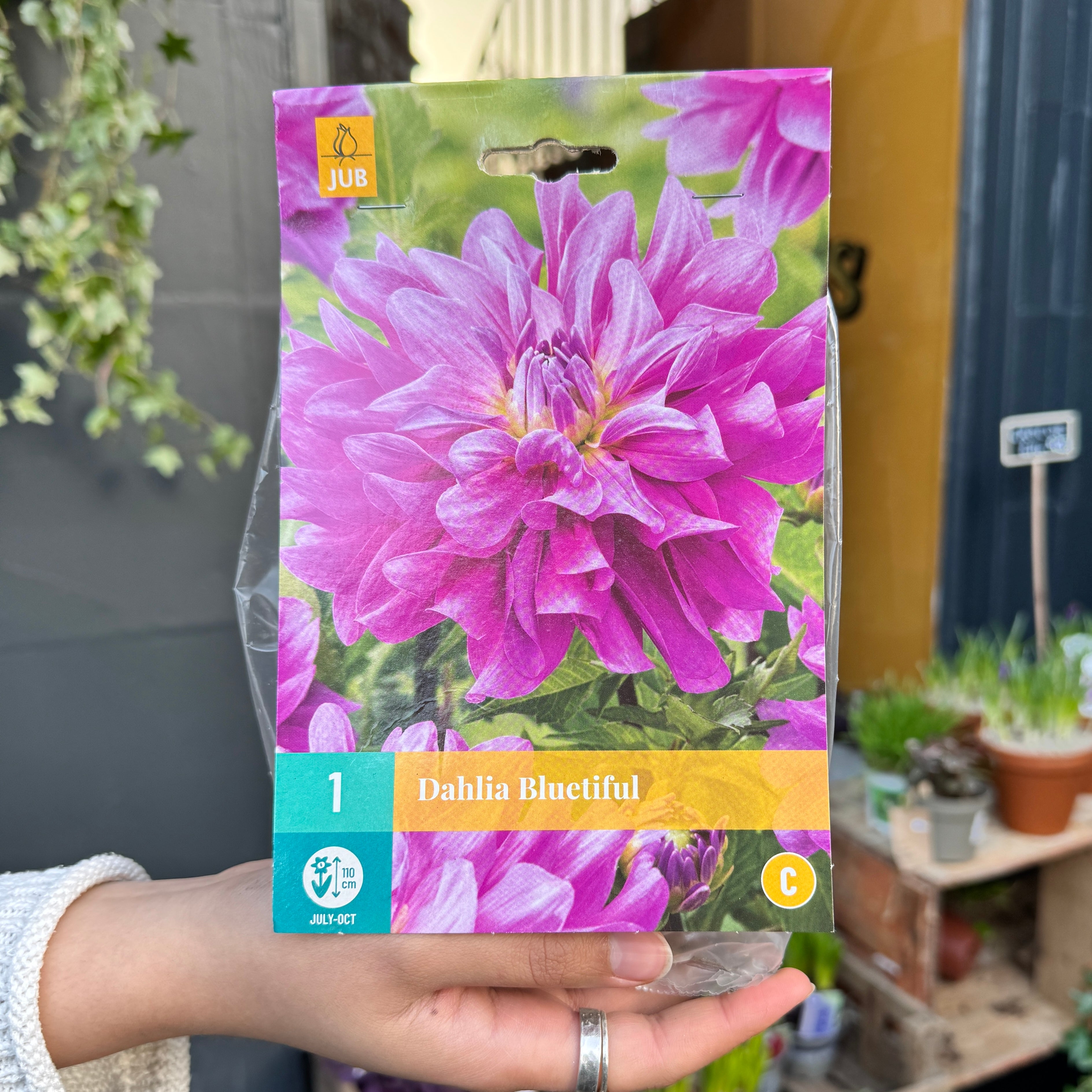 Summer Bulbs, Bare Roots & Tubers