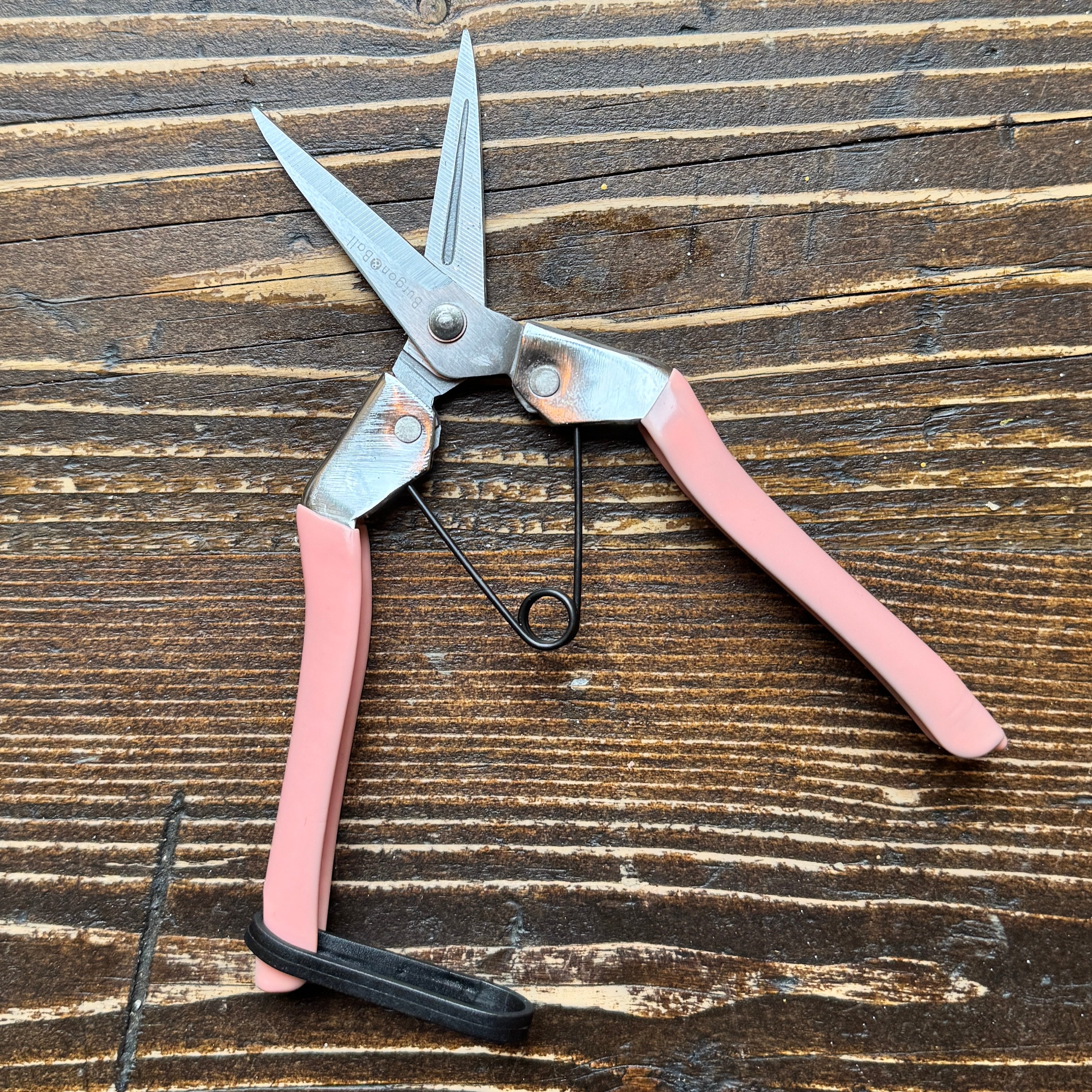 Blush Flower Snips by Burgon & Ball