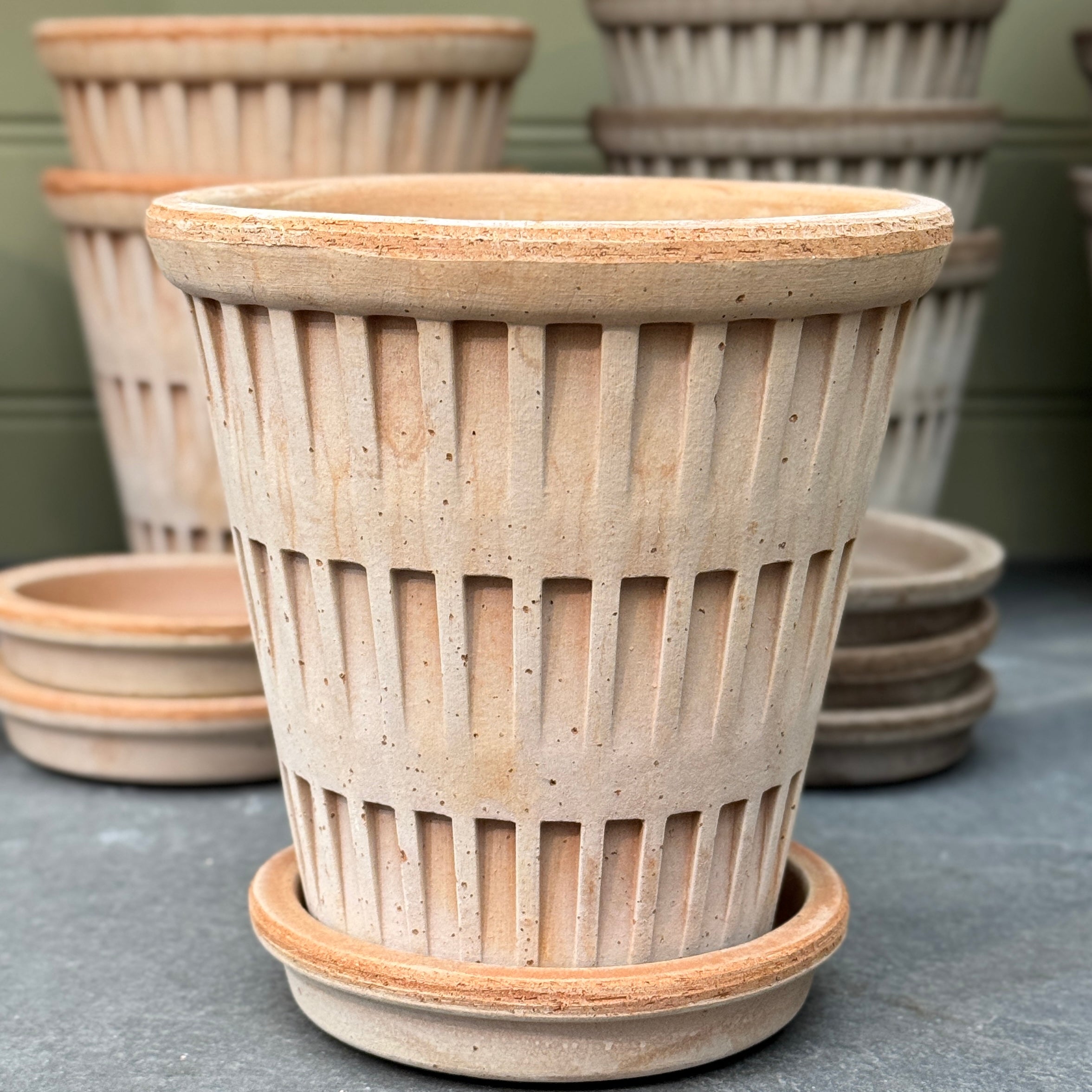 Bergs Potter Pantheon Pot & Saucer Set – Grey & Rosa