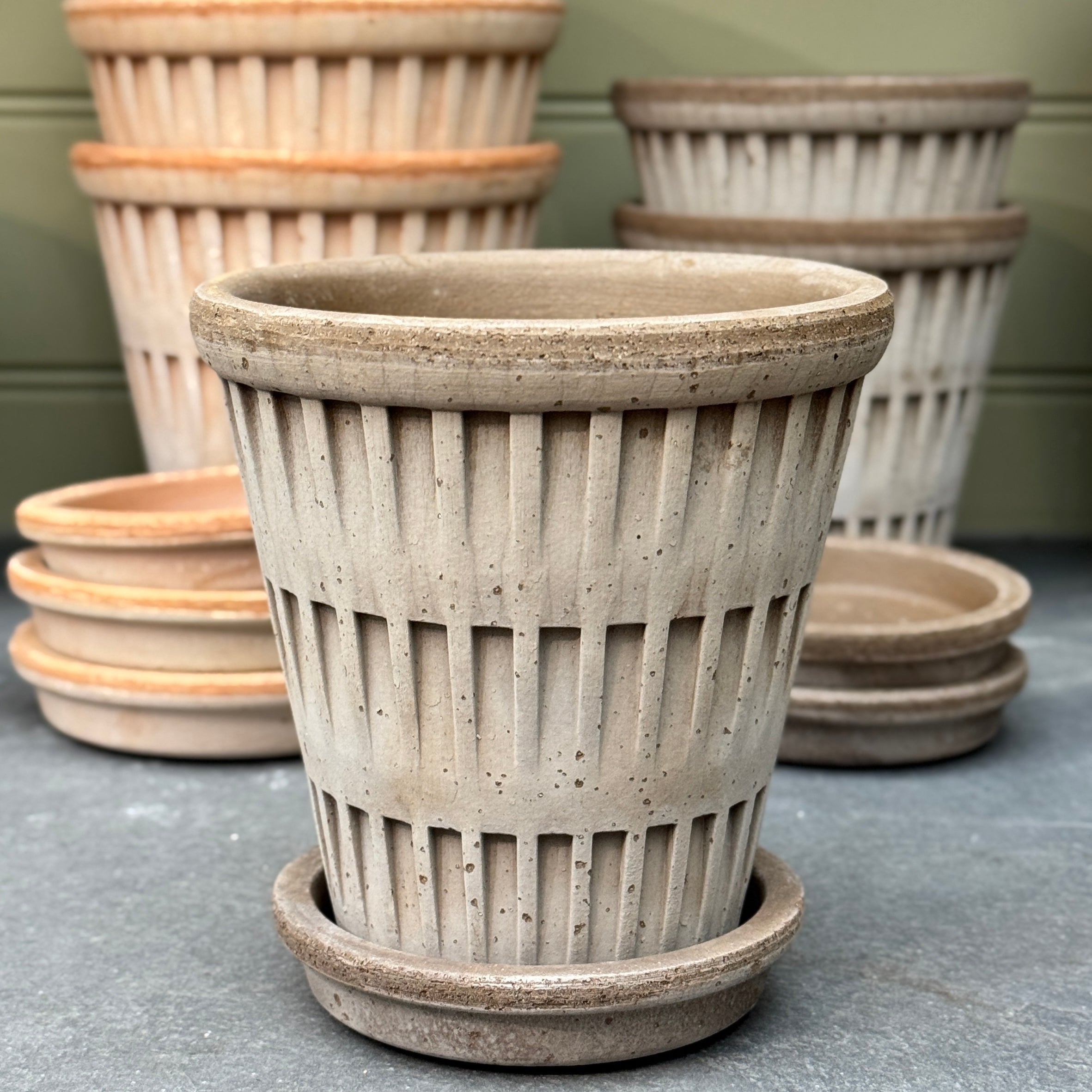 Bergs Potter Pantheon Pot & Saucer Set – Grey & Rosa