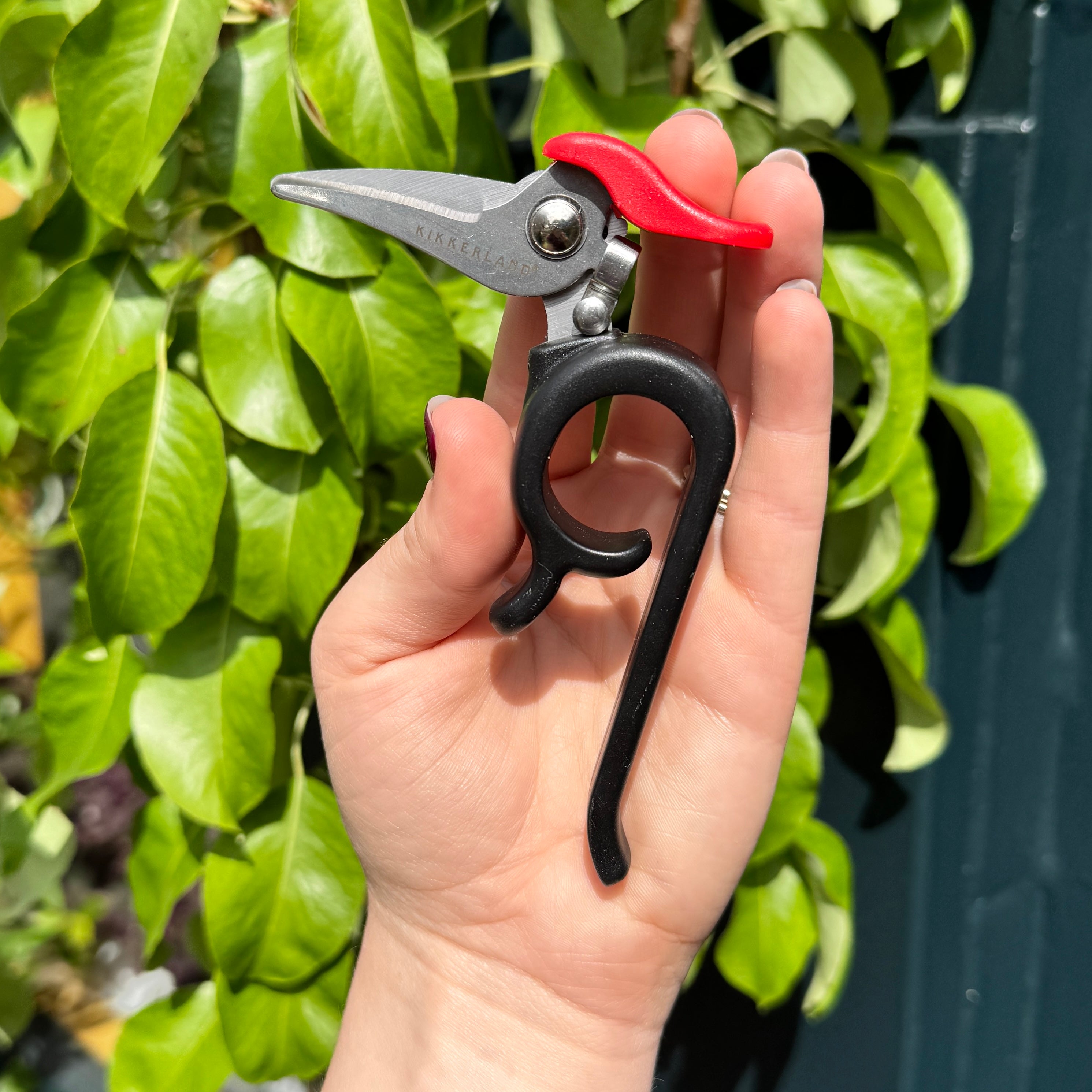 Woodpecker Garden Shears