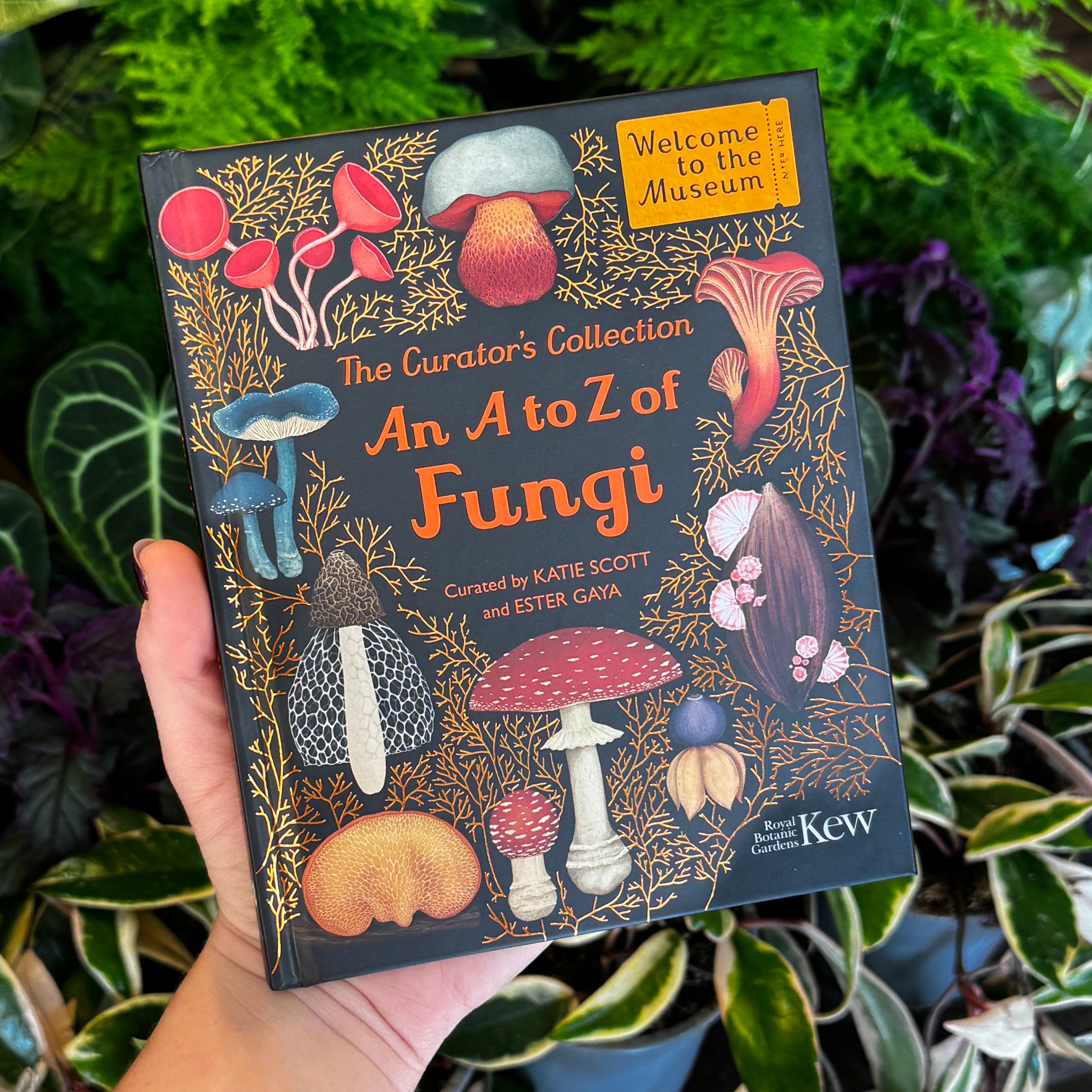 The Curator's Collection: An A to Z of Fungi
