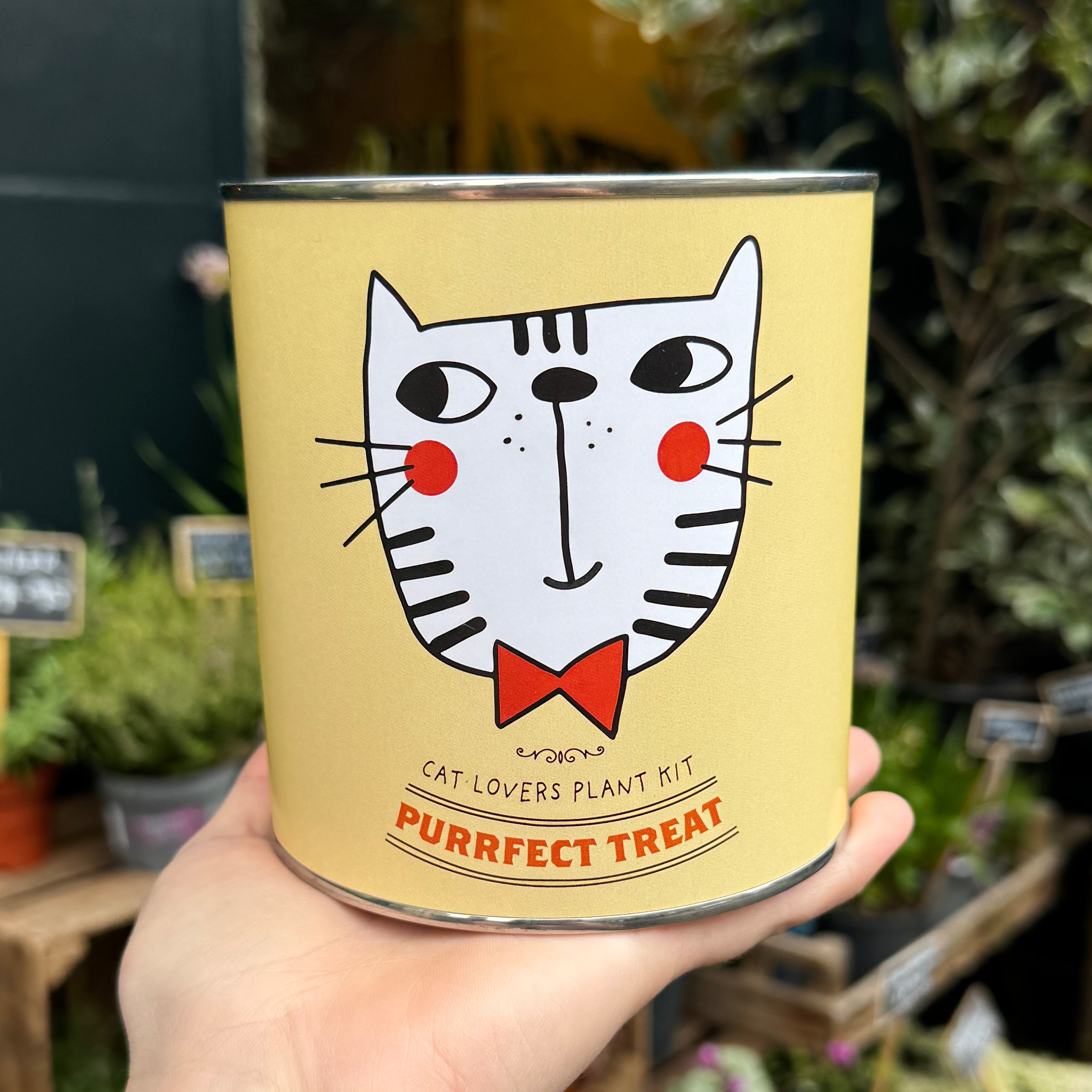 Purrfect Treat | Grow Your Own Cat Plants Kit