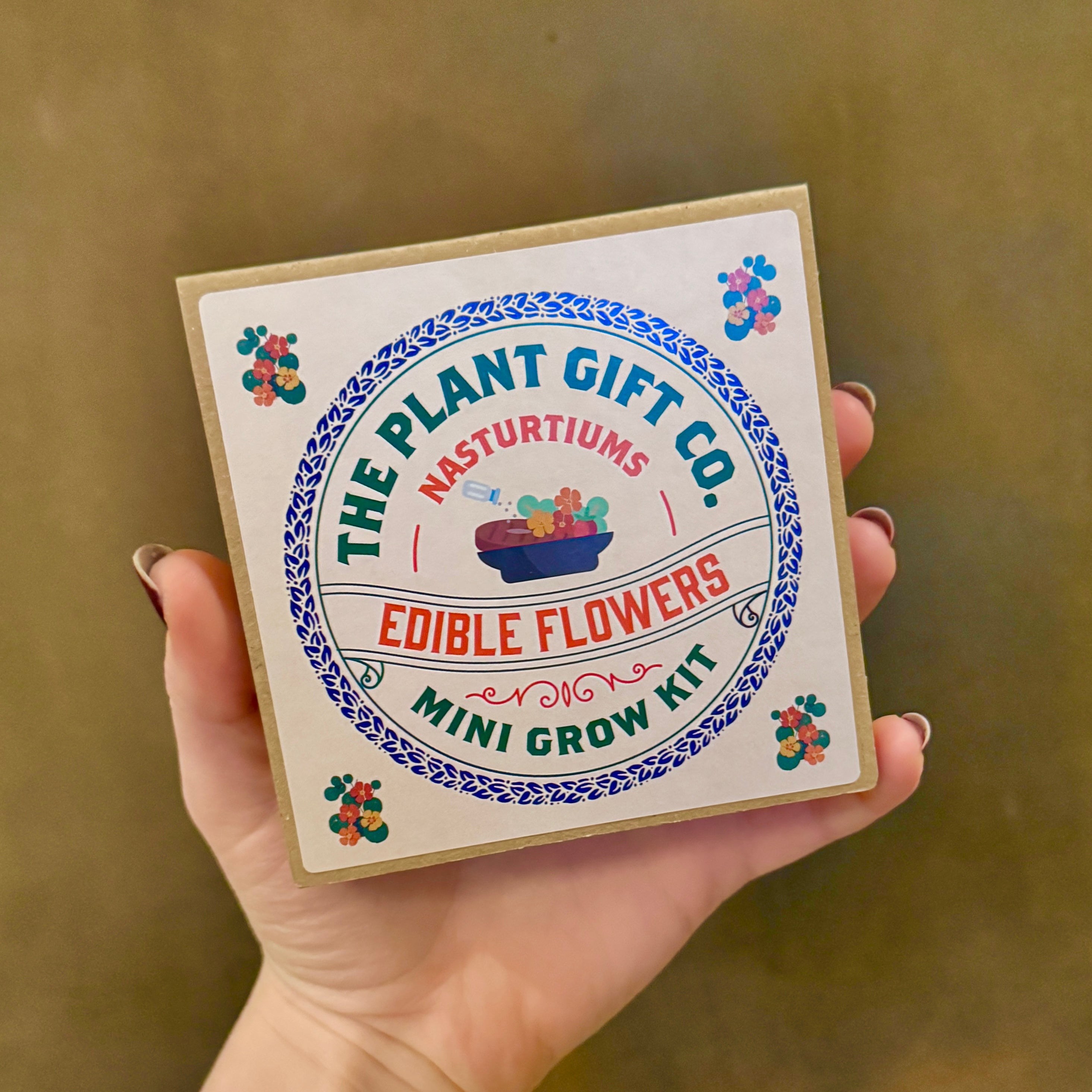 Mini Grow Kit – Easy Grow-From-Seed Gift | The Plant Gift Co.