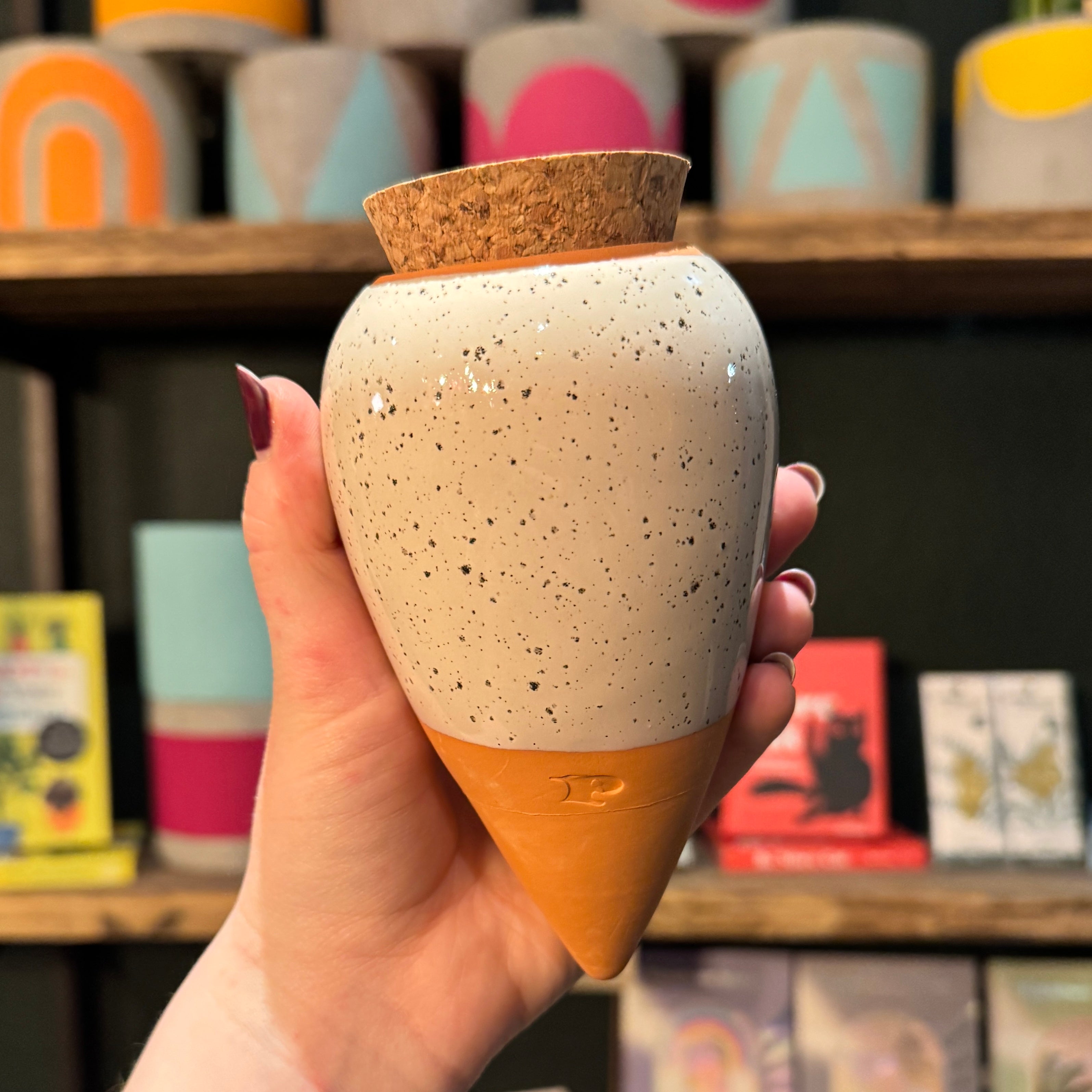 Pepin Ollas | Natural Plant Watering System